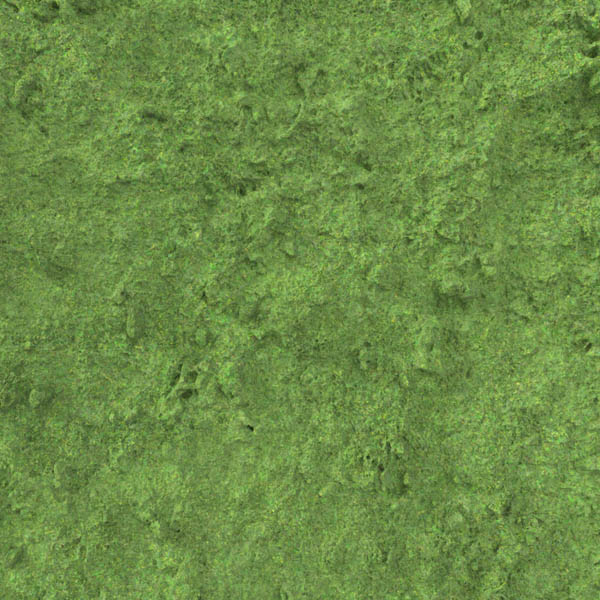PrintedCarpet01